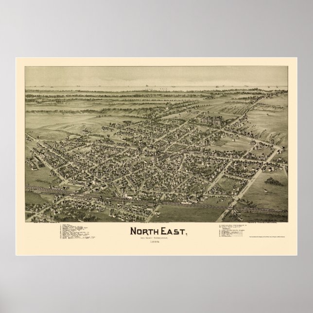 Affiches North East, PA Panoramic Map - 1896 (Devant)