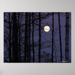 Affiches Northwoods Moon.