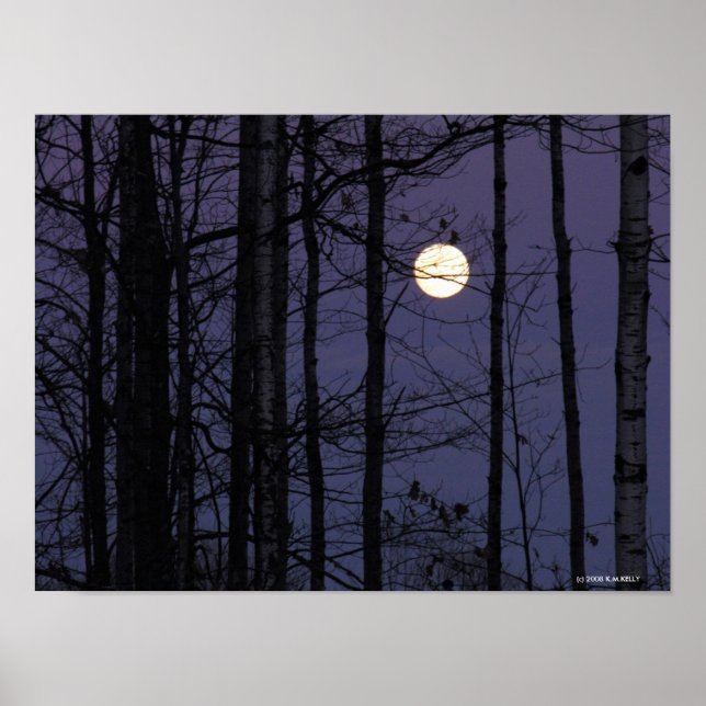 Affiches Northwoods Moon. (Devant)