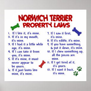 AFFICHES NORWICH TERRIER PL2