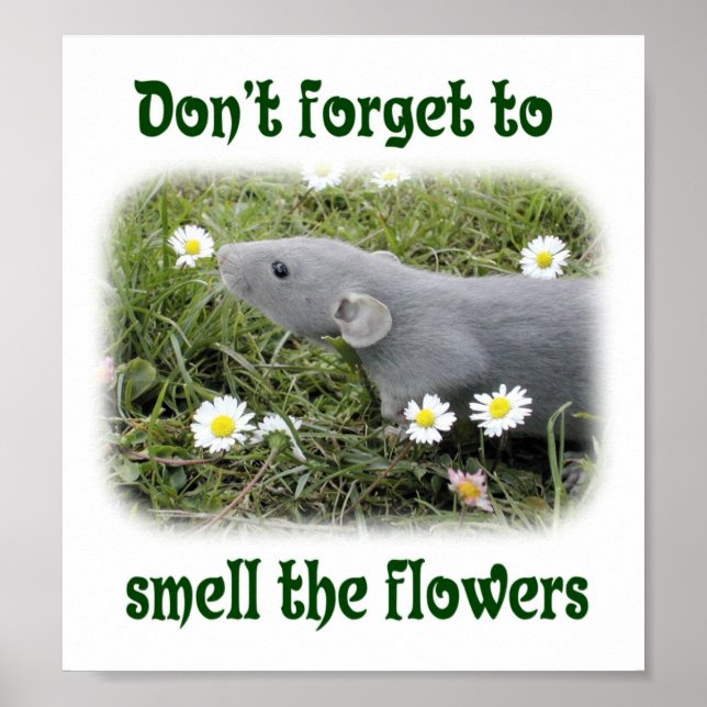 Affiches N'oubliez pas de sentir les fleurs (Devant)