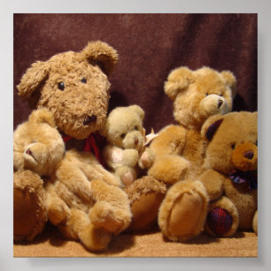 Affiches Nounours