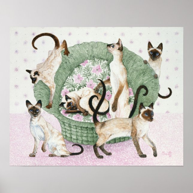 Affiches Nous sommes Siamais si vous vous plaît (Devant)