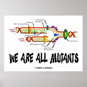 Affiches Nous sommes tous des mutants (réplication de l'ADN