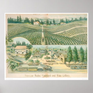 Affiches Nouveau vignoble et caves à vin du Médoc (1213A)