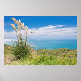 Affiches Nouvelle-Zélande, North Island, Cap Reinga 2