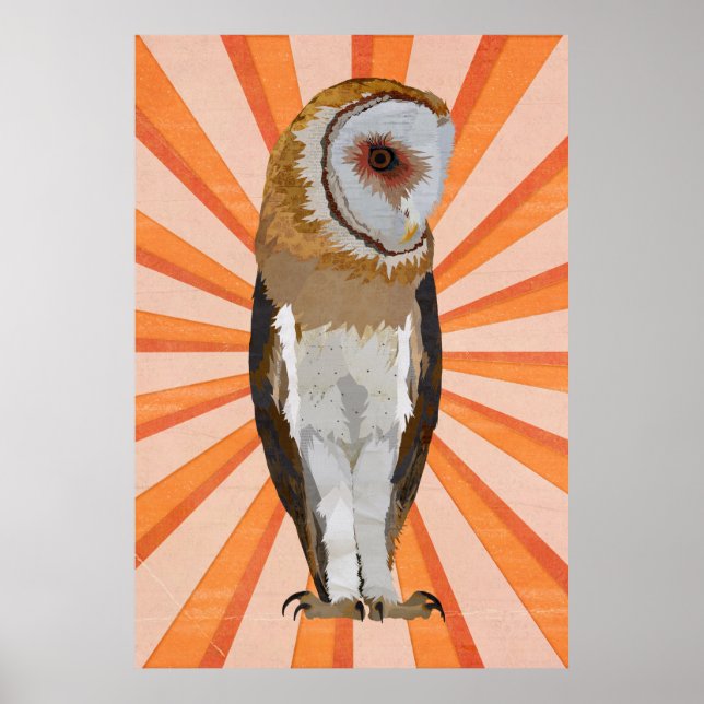 AFFICHES NOVEMBRE OWL (Devant)