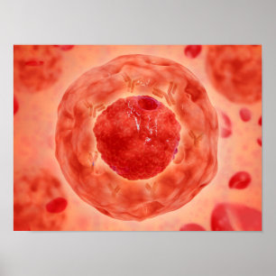 Affiches Noyau Cellulaire Avec Chromosome 2