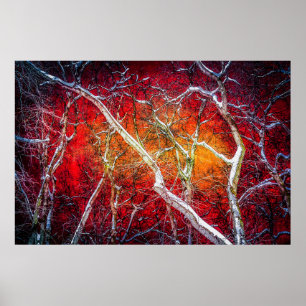 Affiches Nuit d'hiver rouge