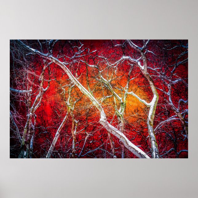 Affiches Nuit d'hiver rouge (Devant)