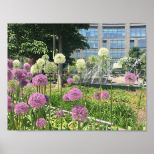 Affiches NYC Columbus Circle New York City Purple Allium