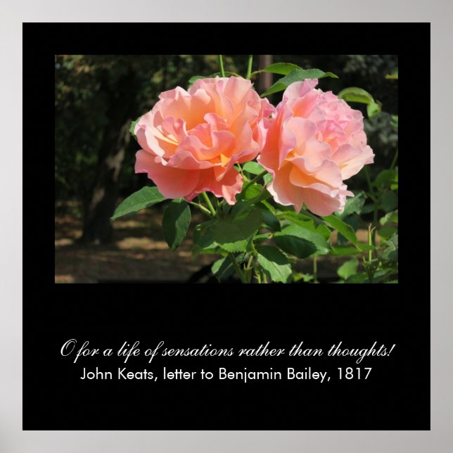 Affiches O pour une vie de sensations. . . (John Keats) (Devant)