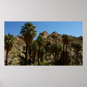 Affiches Oasis Lost Palms I dans le parc national de Joshua