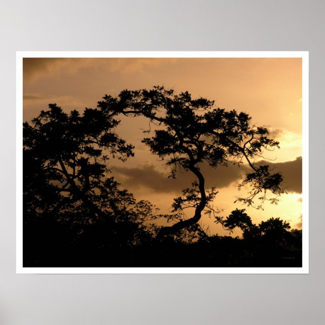 Affiches observateur solaire (Devant)