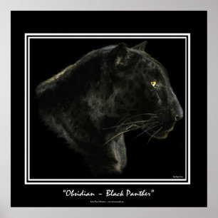 Affiches "OBSIDIAN" ~ Black Panther Puma Wildlife Art Print