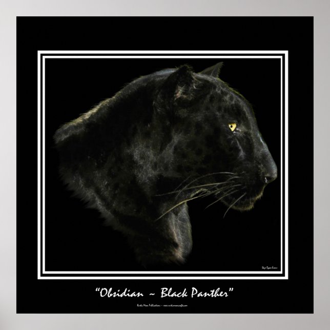 Affiches "OBSIDIAN" ~ Black Panther Puma Wildlife Art Print (Devant)