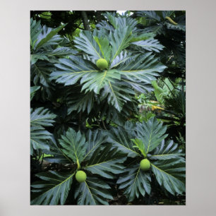 Affiches Oceania, South Pacific, French Polynesia,