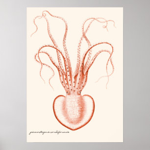 Affiches Océanographie scientifique de la vie marine vintag