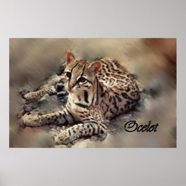 Affiches Ocelot (Devant)