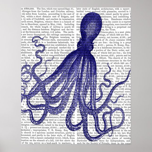 Affiches Octopus bleu (Devant)