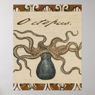 Affiches Octopus Kraken Illustration Vintage
