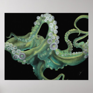 Affiches Octopus vert 20 x 16