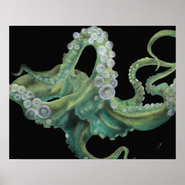 Affiches Octopus vert 20 x 16 (Devant)