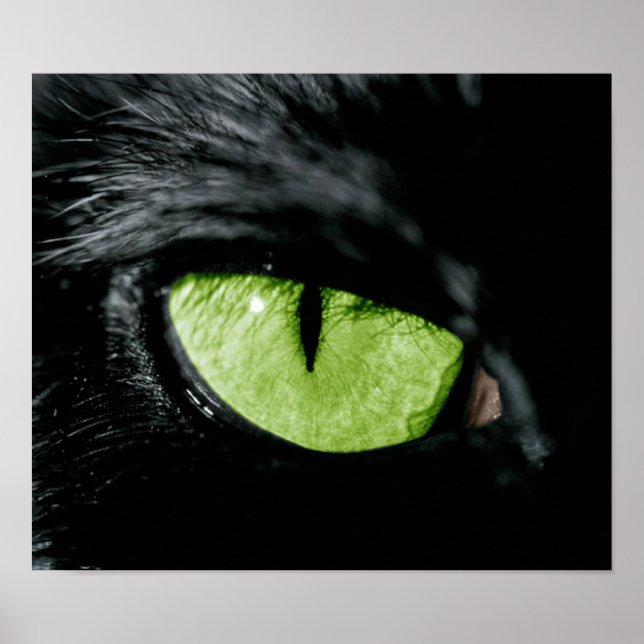 Affiches oeil de chat (Devant)