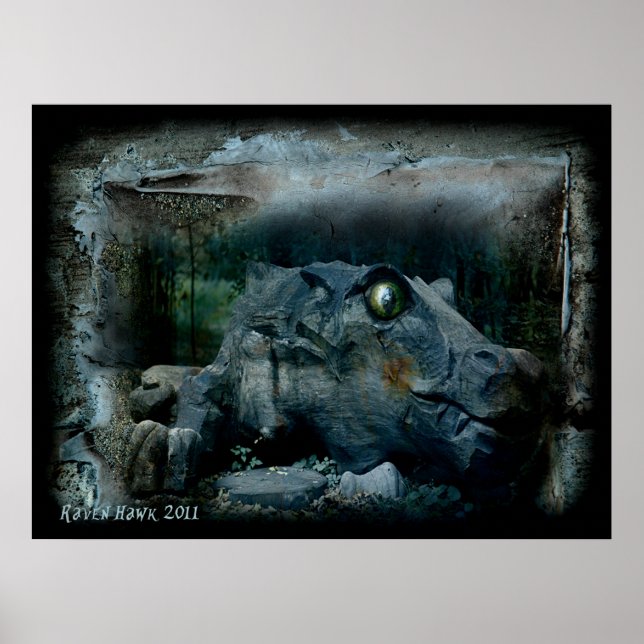 Affiches OEil dragon (Devant)