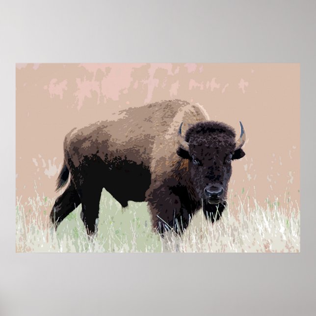 Affiches Oeuvre d'art américaine de Bison Buffalo (Devant)