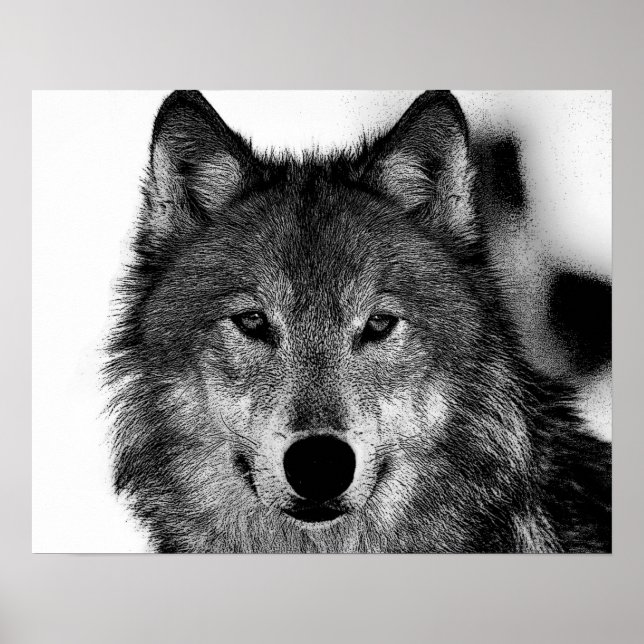 Affiches Œuvre d'art Loup Gris Noir & Blanc (Devant)