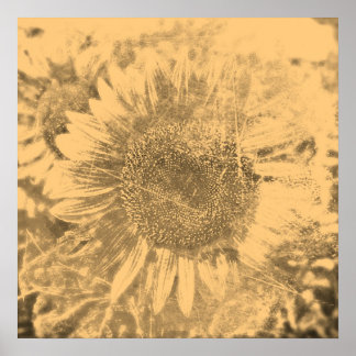 Affiches OEuvre vintage de peinture de tournesol #2 - Affic