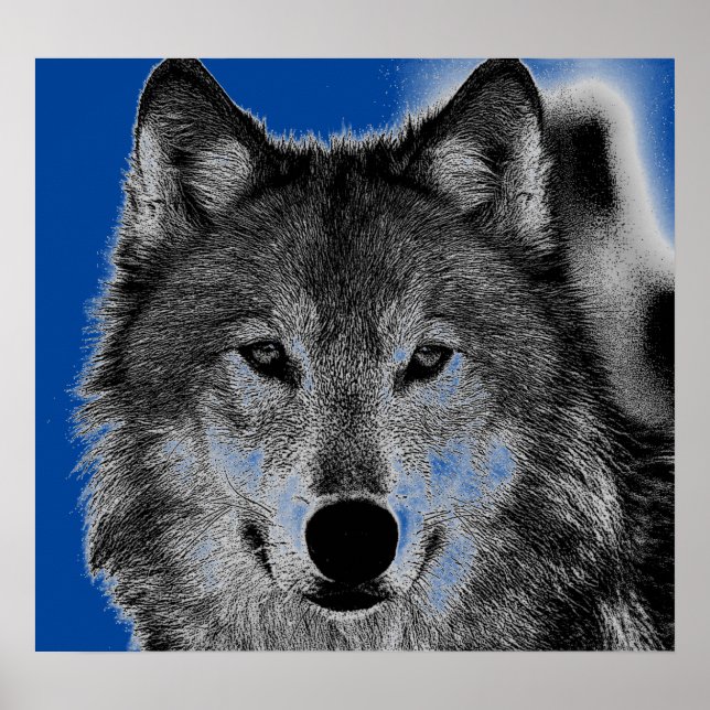 Affiches Oeuvre Wolf (Devant)