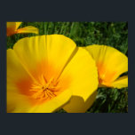 Affiches OFFICE ART POPPIES Fleurs de pavot 4 Imprimantes d<br><div class="desc">POPPIES, FLEURS DE POPPY, OEuvres d'art, Cadeaux d'entreprise, Cadeaux d'entreprise, OEuvres professionnelles, Poppies orange fleurissant sur la prairie à flanc de colline. Paysage Fleur d'été. IMPRIMANTES D'ART POSTER, ARTISANAT CANVAS, ARTISANAT CADRE, POSTES. OBTENIR UN CADEAU ? COMBINEZ plusieurs produits. Cartes de voeux, Timbres, Timbres, Cartes postales, Sacs fourre-tout, Tabliers, Mousepads,...</div>