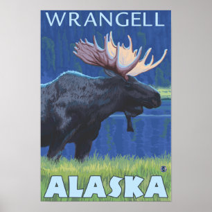 Affiches Oie à la nuit - Wrangell, Alaska