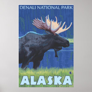 Affiches Oie de nuit - Denali Nat'l Park, Alaska