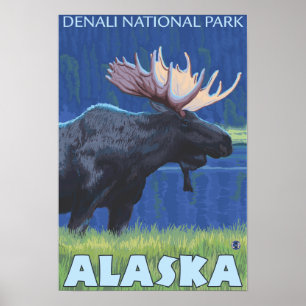 Affiches Oie de nuit - Denali Nat'l Park, Alaska