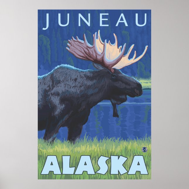 Affiches Oie de nuit - Juneau, Alaska (Devant)