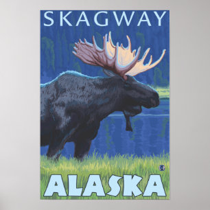 Affiches Oie de nuit - Skagway, Alaska
