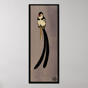 Affiches Oiseau - ancien, illustration de livre colorée
