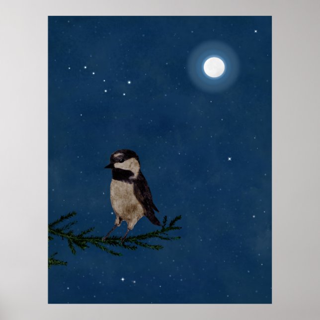 Affiches Oiseau, Bécasseau, Lune, Étoiles, Gros Plongeur, N (Devant)