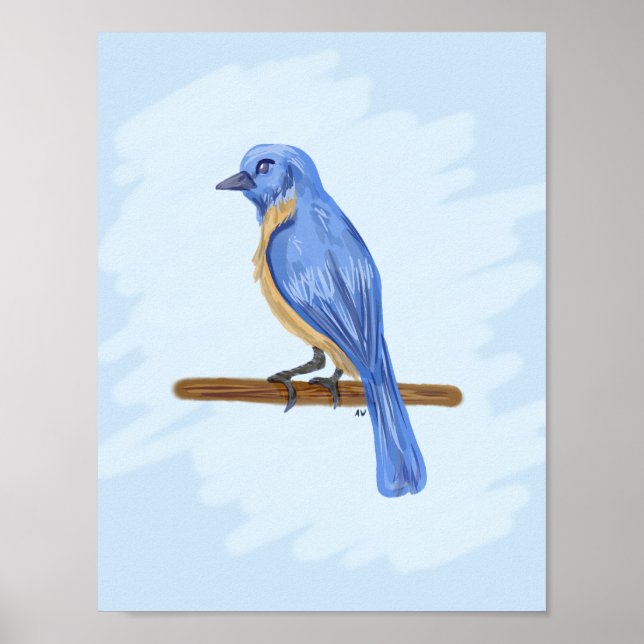 Affiches Oiseau bleu (Devant)