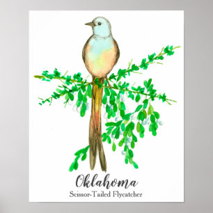 Affiches Oiseau de l'État de l'Oklahoma ciseau à queue plat