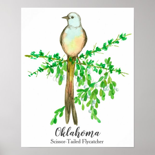 Affiches Oiseau de l'État de l'Oklahoma ciseau à queue plat (Devant)