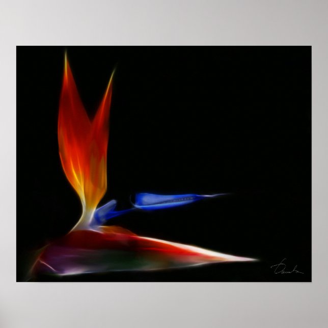 Affiches oiseau de paradis (Devant)