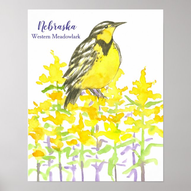 Affiches Oiseau d'État du Nebraska Ouest Meadowlark (Devant)
