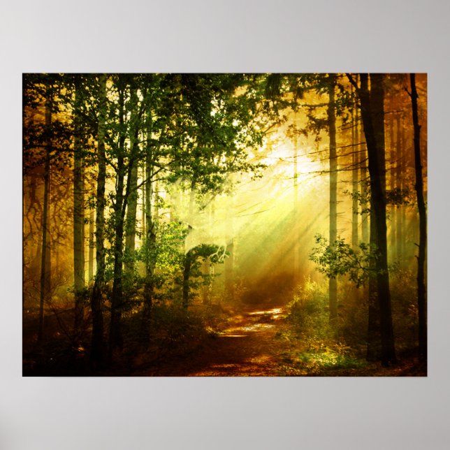 Affiches Oiseau du soleil (Devant)