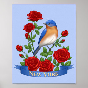 Affiches Oiseau et fleur de l'État de New York