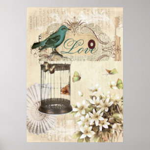 Affiches oiseau français vintage moderne de cage à oiseaux