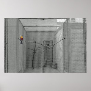 Affiches Oiseau mis en cage